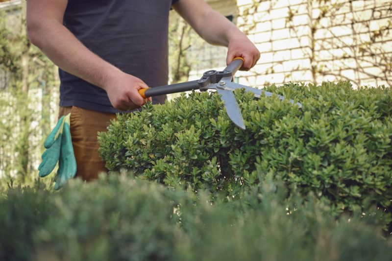Shrub Cutting