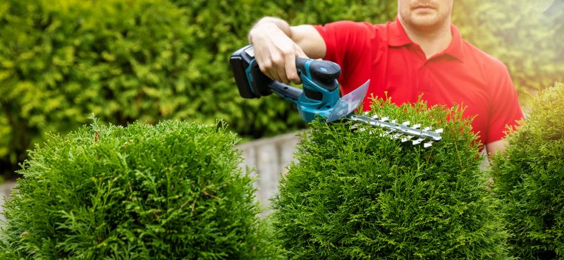 Experienced Landscape Professionals