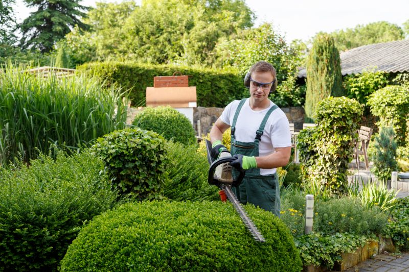 Specialized Shrub Trimming Companies